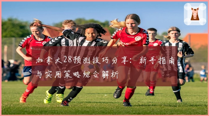 加拿大28预测技巧分享:新手指南与实用策略综合解析