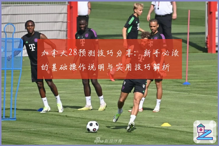 加拿大28预测技巧分享：新手必读的基础操作说明与实用技巧解析