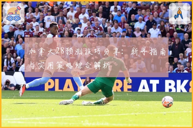 加拿大28预测技巧分享：新手指南与实用策略综合解析