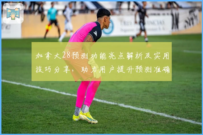 加拿大28预测功能亮点解析及实用技巧分享，助力用户提升预测准确率