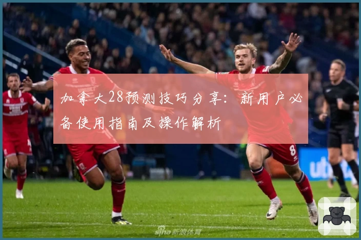 加拿大28预测技巧分享：新用户必备使用指南及操作解析