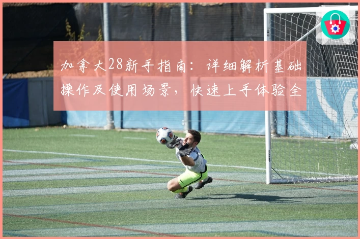 加拿大28新手指南：详细解析基础操作及使用场景，快速上手体验全功能