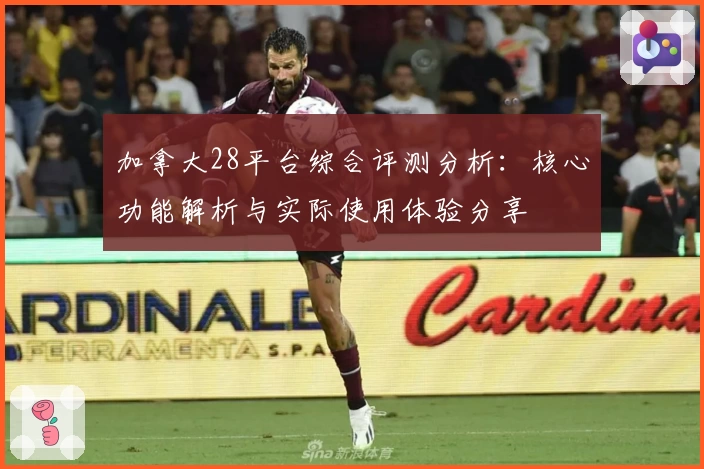 加拿大28平台综合评测分析：核心功能解析与实际使用体验分享