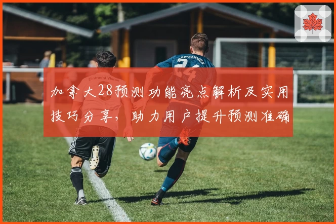 加拿大28预测功能亮点解析及实用技巧分享，助力用户提升预测准确率