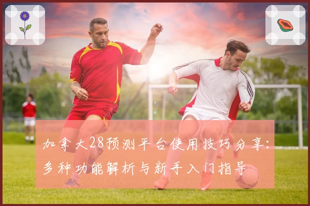 加拿大28预测平台使用技巧分享：多种功能解析与新手入门指导