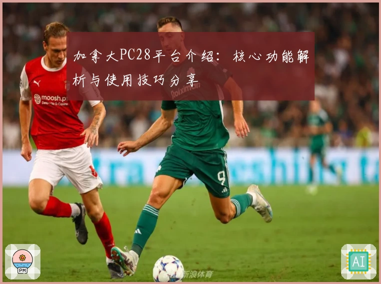 加拿大PC28平台介绍:核心功能解析与使用技巧分享