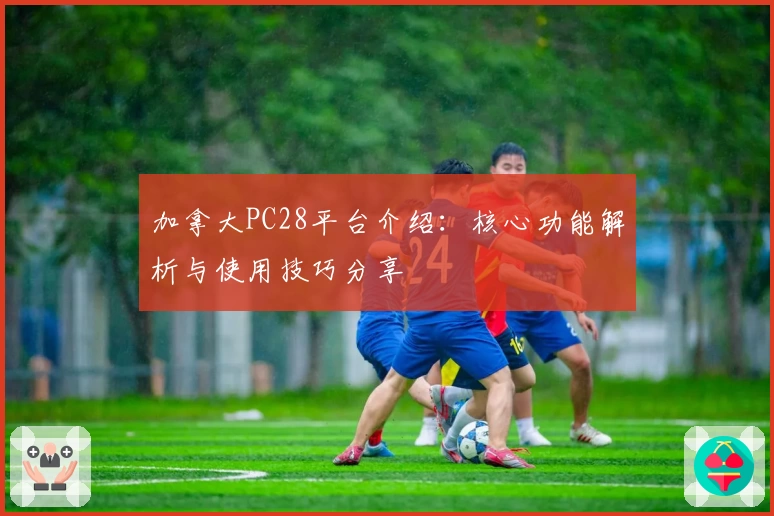 加拿大PC28平台介绍：核心功能解析与使用技巧分享
