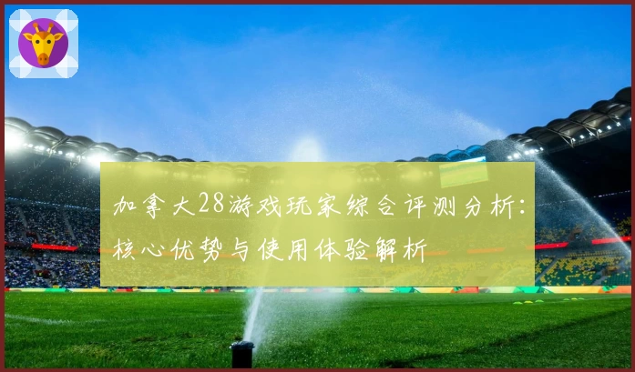 加拿大28游戏玩家综合评测分析：核心优势与使用体验解析