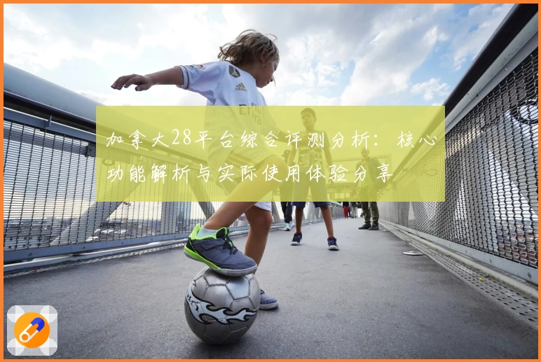 加拿大28平台综合评测分析:核心功能解析与实际使用体验分享