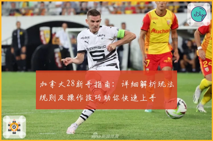 加拿大28新手指南：详细解析玩法规则及操作技巧助你快速上手