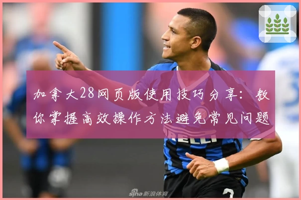 加拿大28网页版使用技巧分享：教你掌握高效操作方法避免常见问题