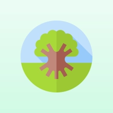 ico1